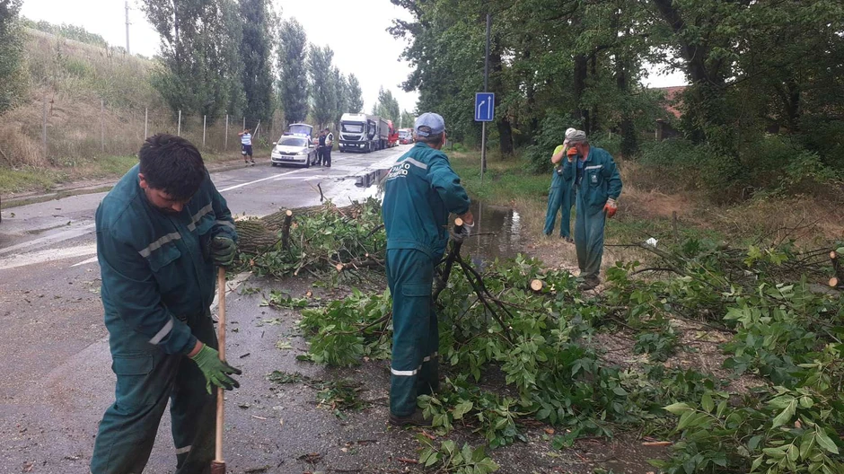 Radnici Zelenila saniraju štetu