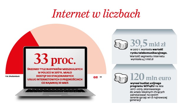 Internet w liczbach (p)