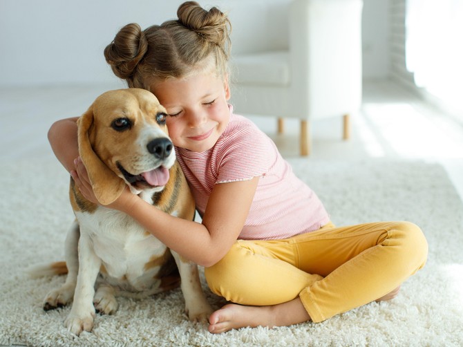 Kako odabrati pravog kućnog ljubimca za dete: saveti veterinara