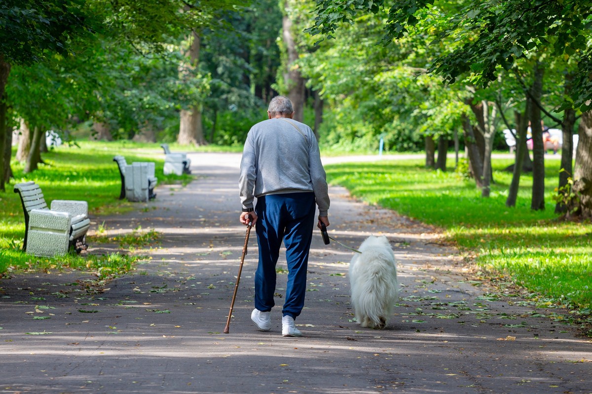 Wyłudzanie mieszkań, metoda "na wnuczka". Będzie tarcza dla seniorów?