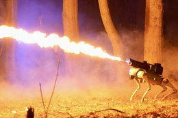 Robotyczny pies, który strzela ogniem. Takie rzeczy można kupić tylko w USA