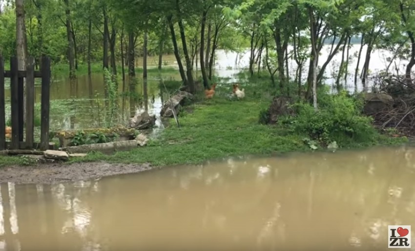 Izlio se Tamiš kod Zrenjanina