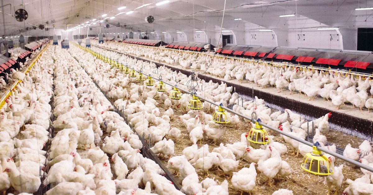 Rząd chce rozwiązać śmierdzący problem. Prace nad ustawą odorową na finiszu