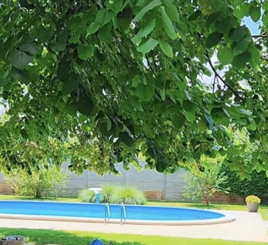 Vila Balaševića u Novom Sadu