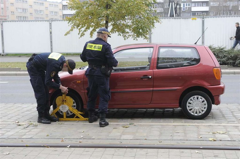 Strażnicy miejscy polują