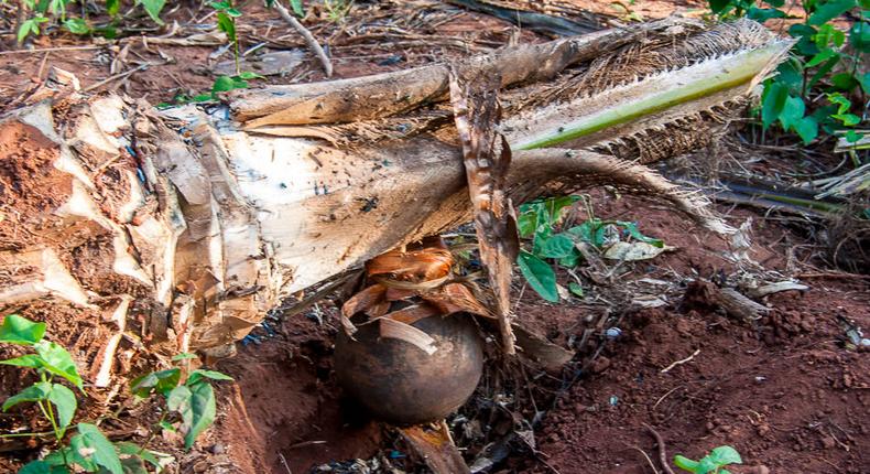 Palm wine tapper remanded for burning son’s feet over stew