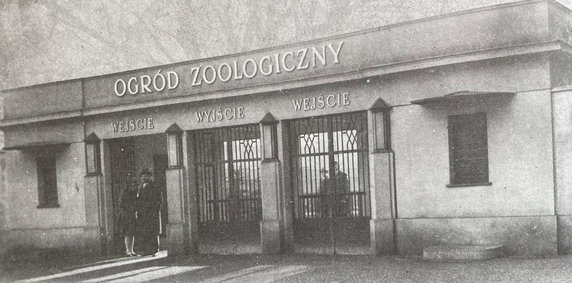 Jak powstało stare zoo w Poznaniu?