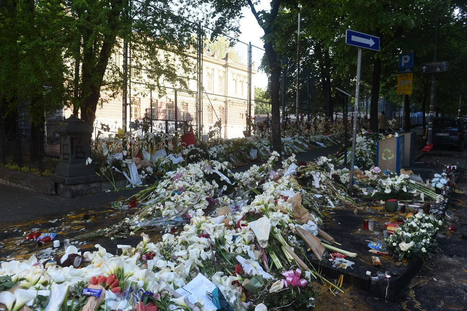 OŠ "Vladislav Ribnikar"