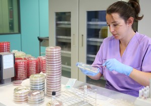 DNK test - ilustrcaija