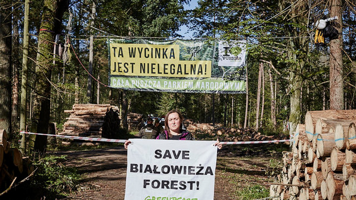 Puszcza Białowieska: kolejne protesty przeciw budowie drogi