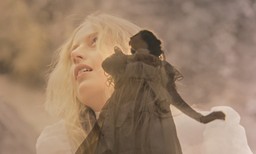 piknik pod wiszącą skałą arcydzieło kino vod gdzie oglądać