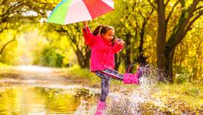 Bunter Wetterschutz: Beliebte Kinderregenschirme im Vergleich