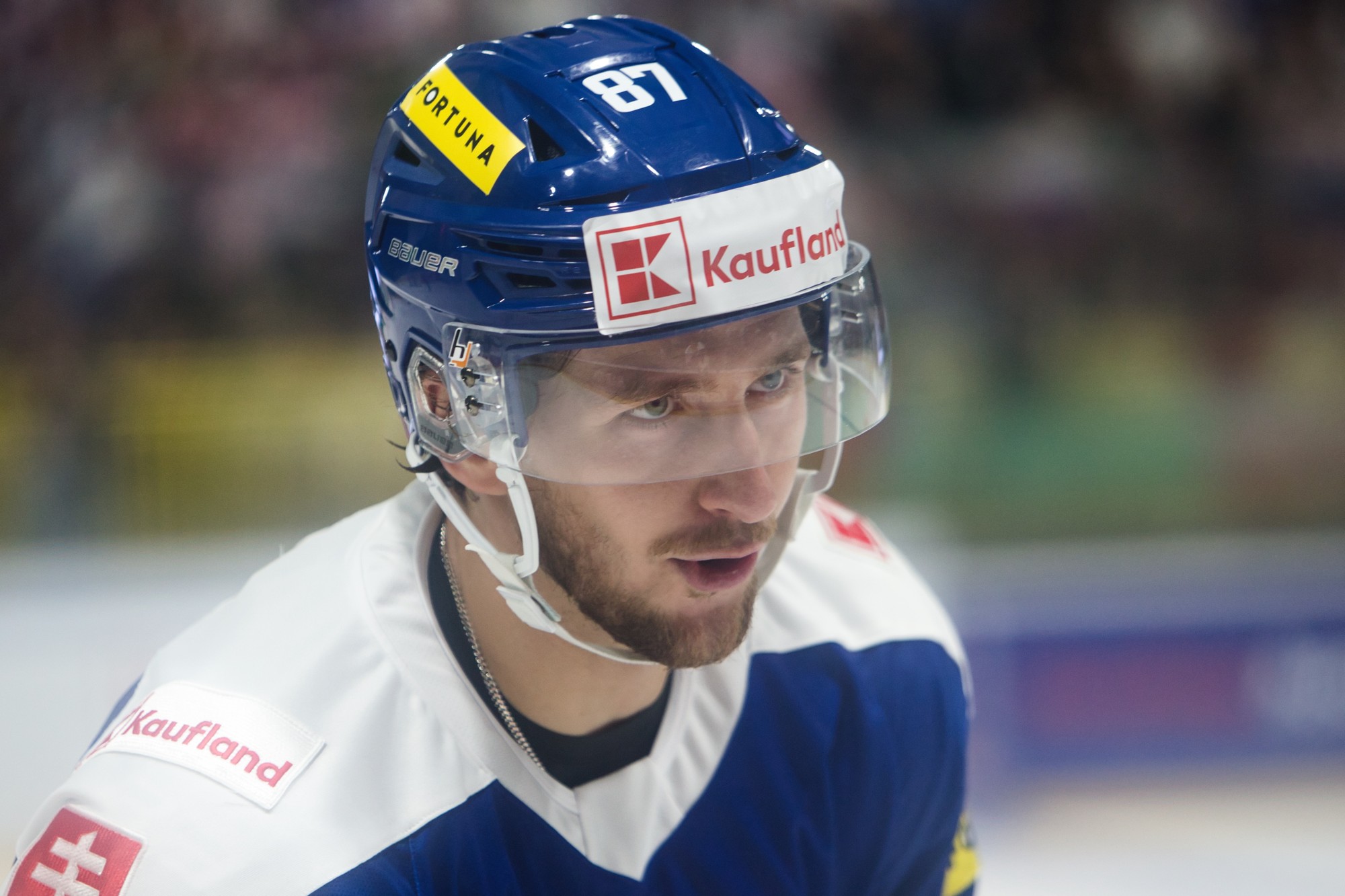 Pavol Regenda (Slovensko).