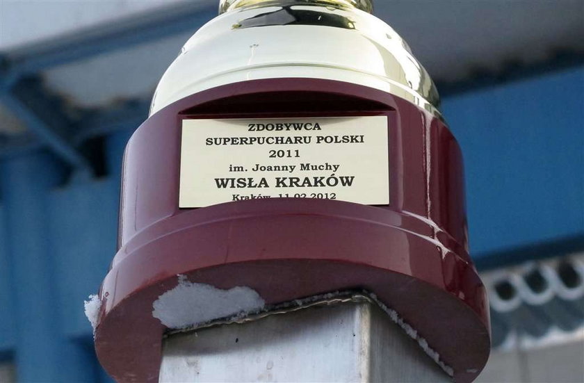 Wisła zdobyła Superpuchar