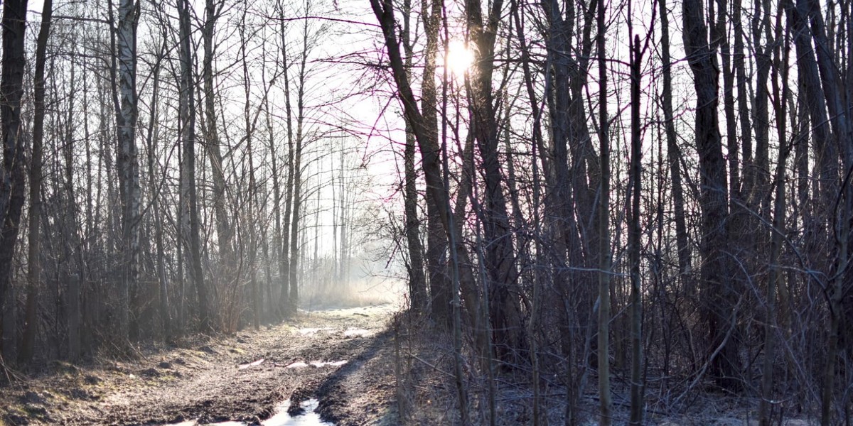 Mazowsze, 1 marca.  Fot. Izabela Adrian. IMGW-PIB 