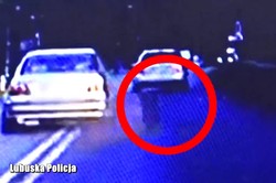 241 punktów karnych i szokujące odkrycie w BMW! Dramatyczne nagranie ze Słubic