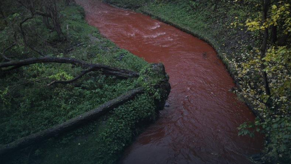 Wojewódzki Inspektorat Ochrony Środowiska w Koszalinie nie ukarze właściciela firmy, z której do rzeki Dzierżecinki dostał się czerwony pigment. Zdaniem Inspekcji nie ma do tego podstaw prawnych. Sprawą ma się zająć prezydent Koszalina.