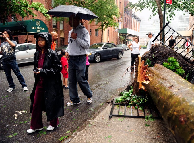 Powalone drzewa w Nowym Jorku