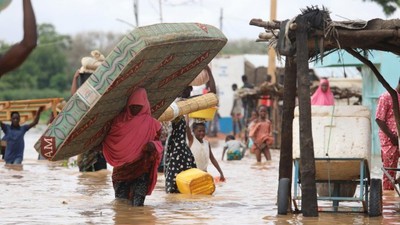 Flood destroys 2,026 houses, 95 farms in Kano (Daily Nigerian)