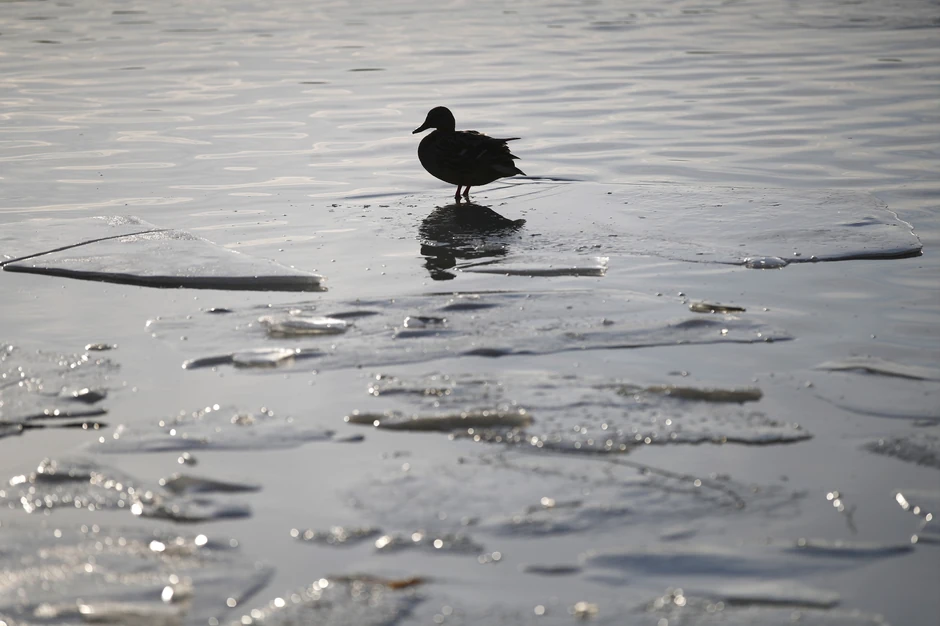 Sredina januara u Moskvi