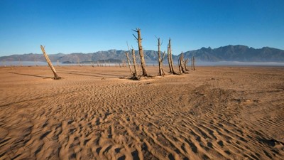 The planet's record-breaking hot weather has caused severe drought in places like here in South Africa.