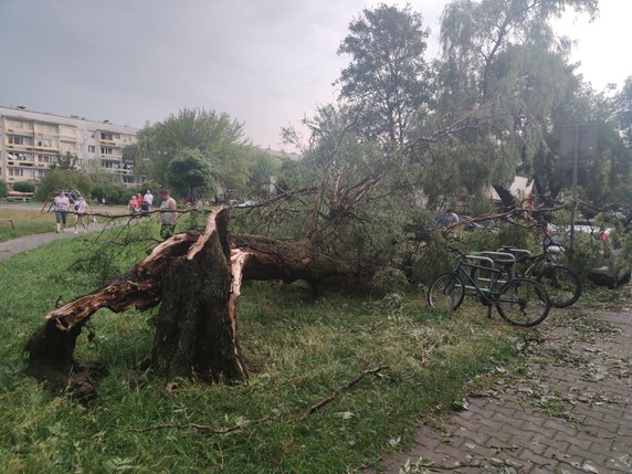 Nawałnica spustoszyła Osiedle Podwawelskie