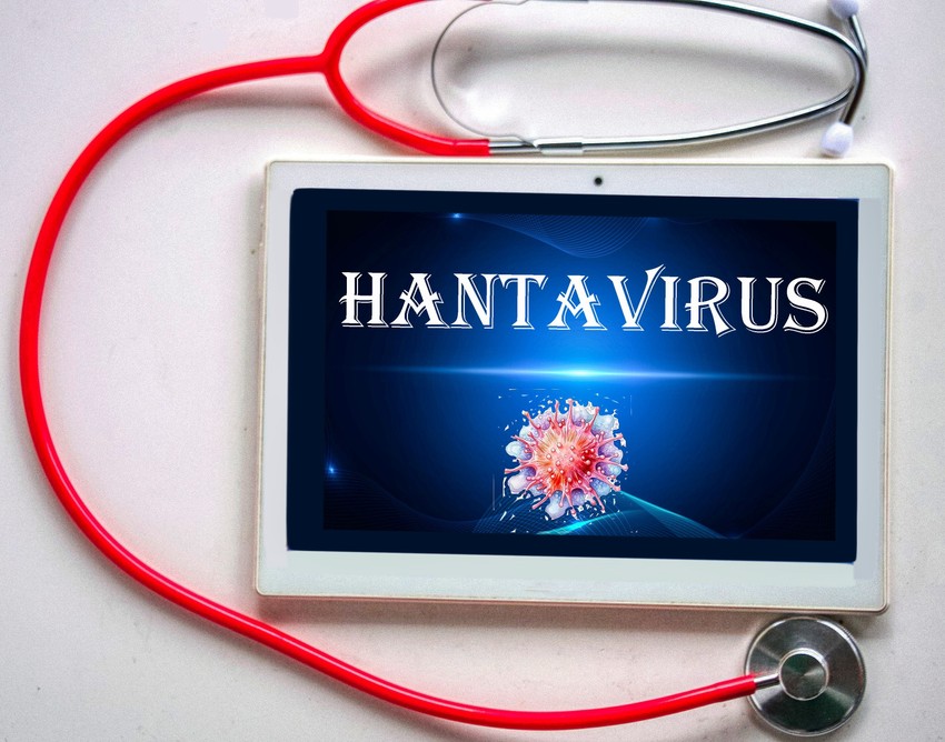 Hantavirus se manifestuje sa dva sindroma