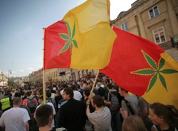 Lewica zastanowi się nad legalizacją trawki