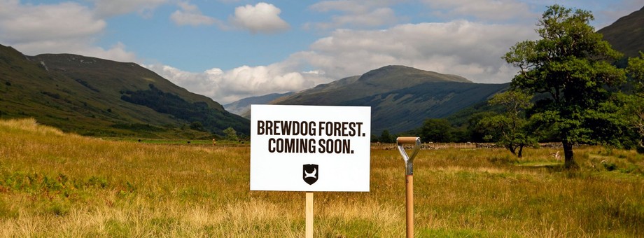 BrewDog Forest powstanie w Szkocji. Browar chce zasadzić milion drzew do 2022 r.