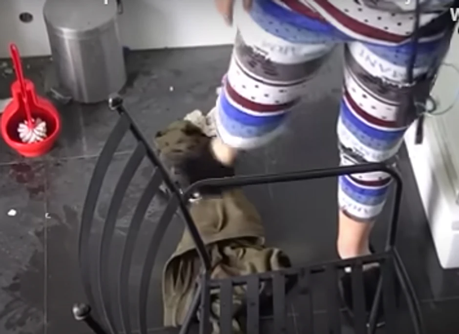 Miljana Kulić uništava Zoli stvari