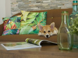 Én és a bútoraim - avagy vásároljunk-e online bútort?