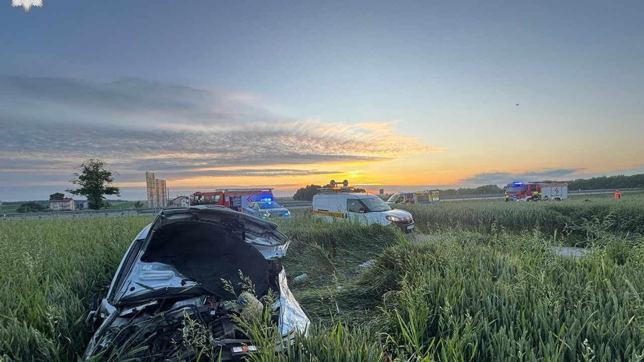 Zmasakrowane audi wylądowało w zbożu. Kierowca spał tuż obok