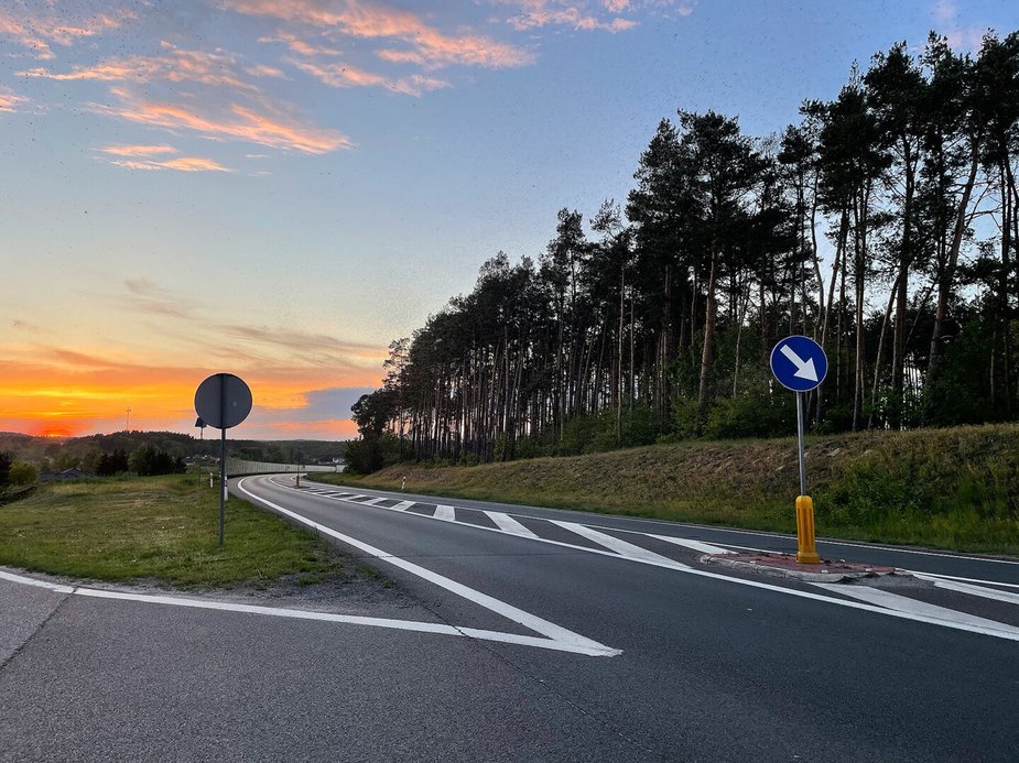 Rój owadów na wyspie Wolin