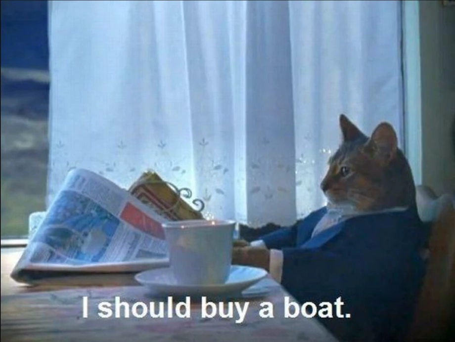 I should buy a boat - słynny mem internetowy to kadr z teledysku piosenkarki Bjork