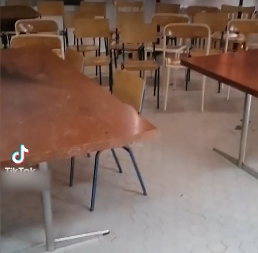 Katedra za anatomiju