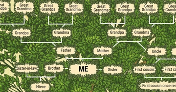 Second Cousin Once Removed Here S What Those Complicated Terms On Your Family Tree Mean Business Insider Africa