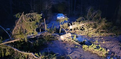 Potężne wichury nad Polską. Orkan Otto sieje spustoszenie