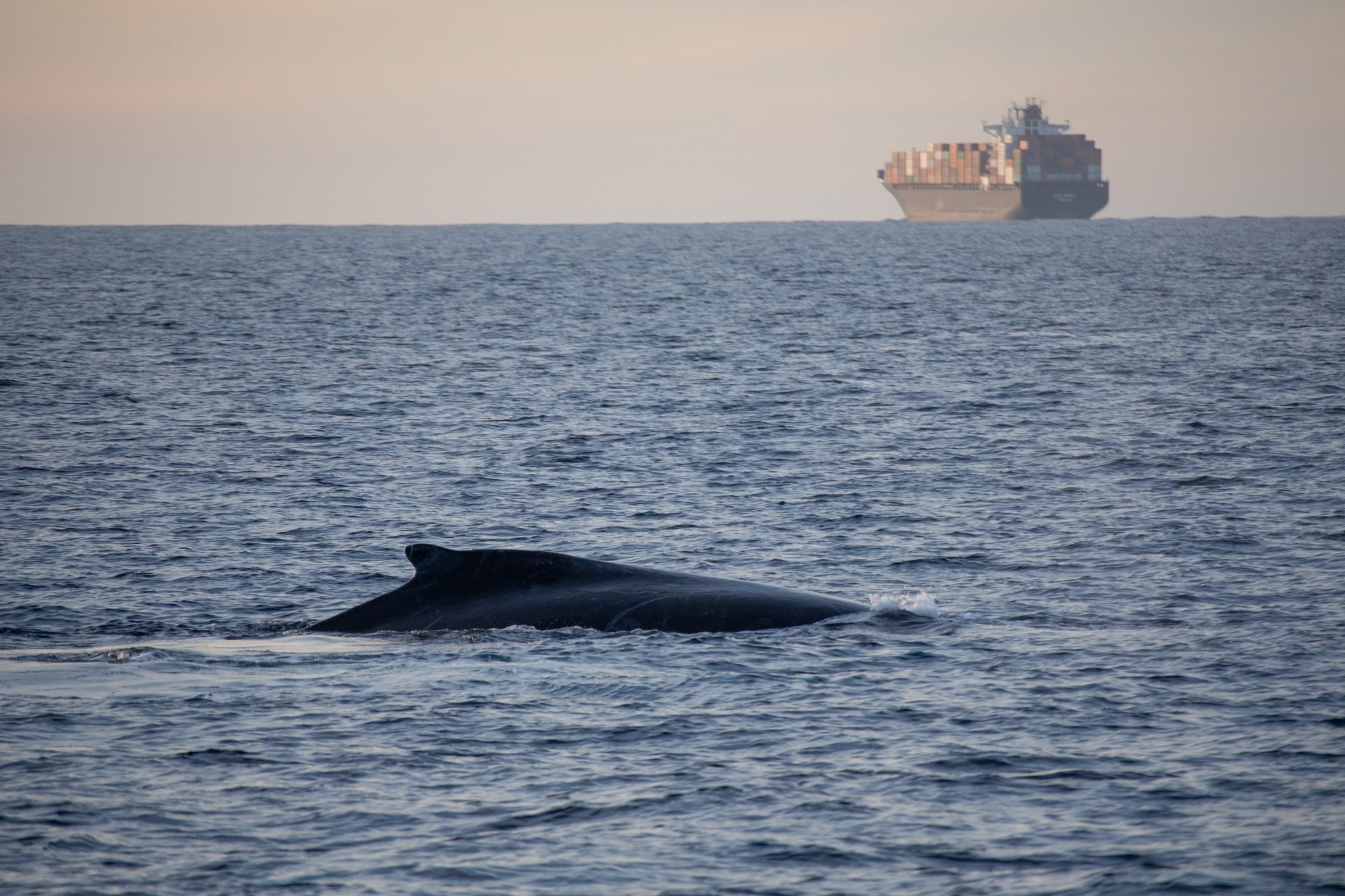 Komunikáciu im prerušuje hluk z lodí.