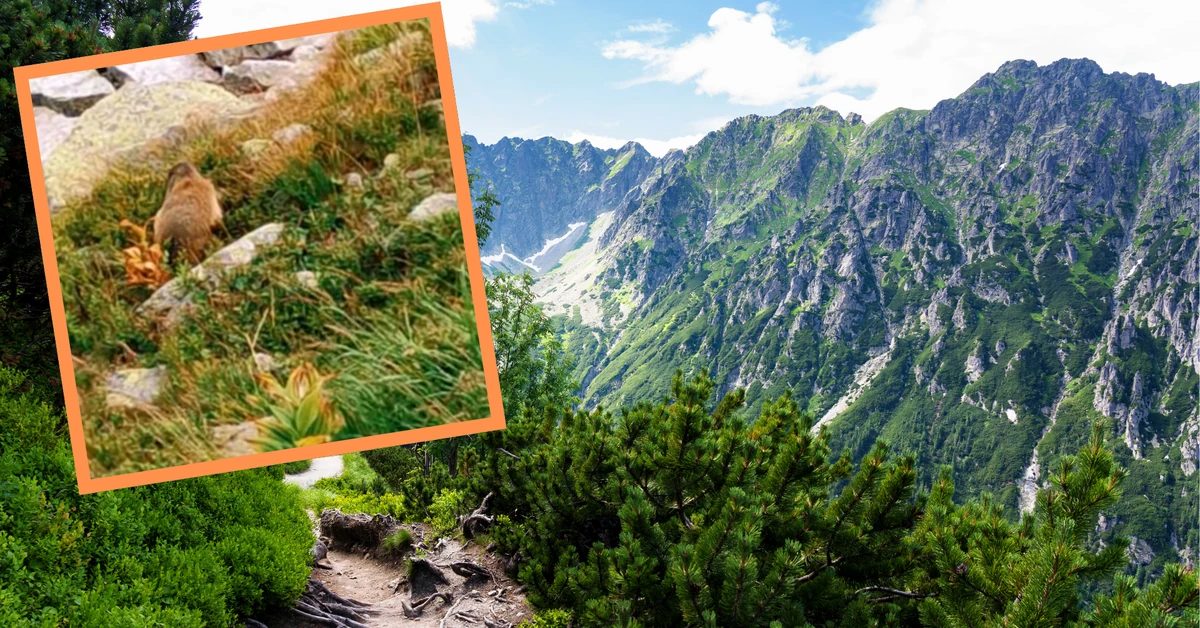 Turyści ruszą w Tatry na Wielkanoc? Hotelarzy niepokoi jedno