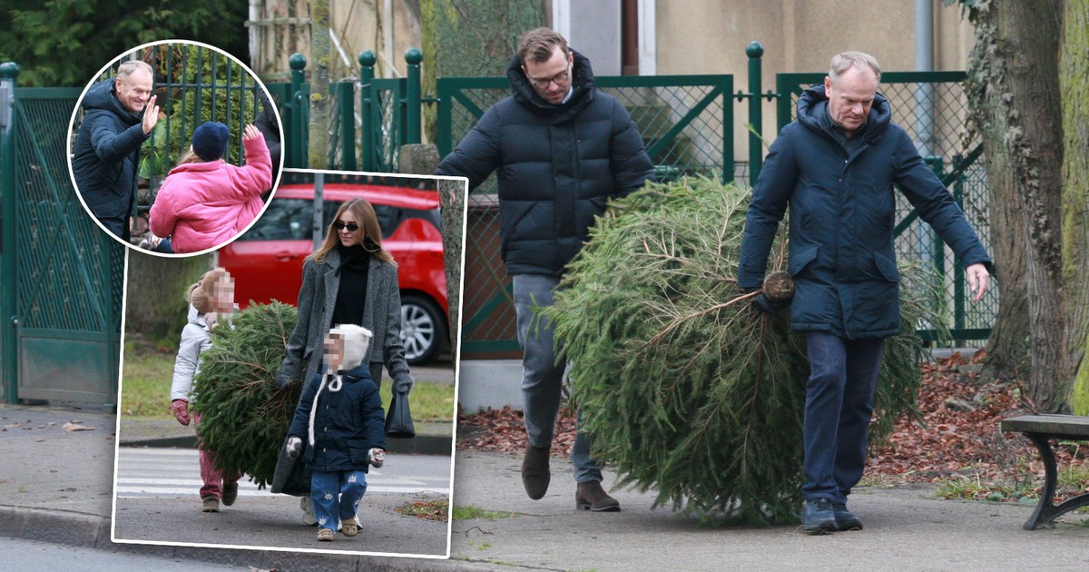 Donald Tusk wybrał się z rodziną po choinki. Duże drzewko nie było lekkie [ZDJĘCIA]