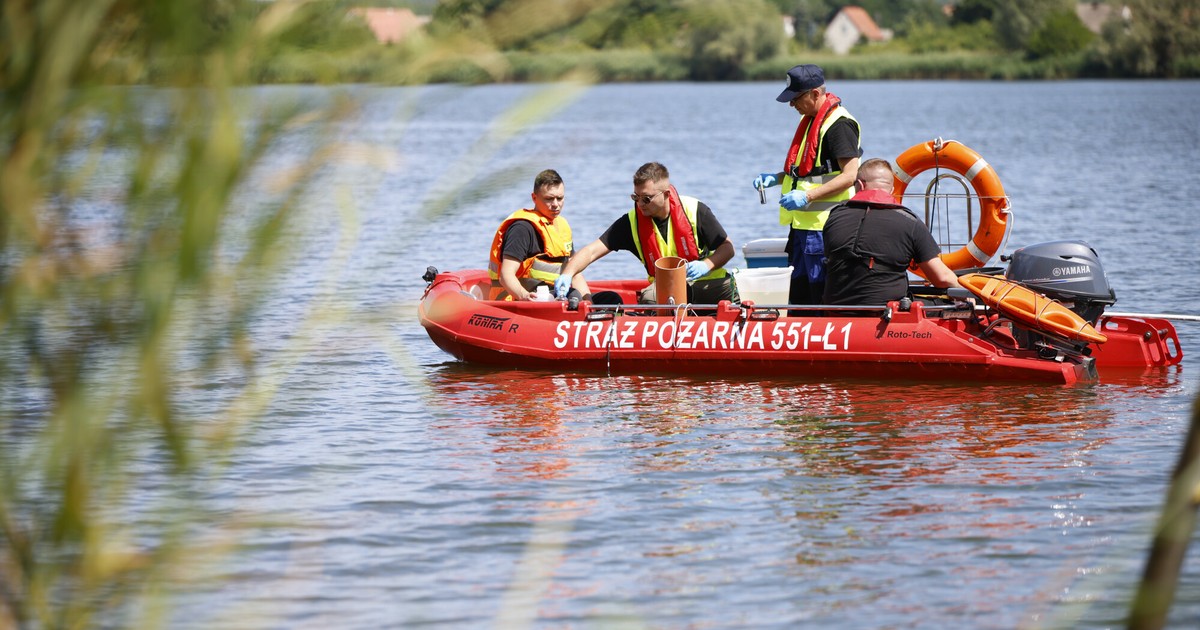 Mrtvé ryby v Odře.  Polské služby reagují