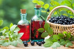 Nalewka z borówki idealna na problemy żołądkowe i cholesterol. Wykorzystaj w pełni sezon na borówki!