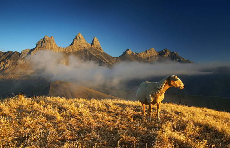 Karol Nienartowicz fotografuje góry od 2003 roku. Po analogowych początkach w 2005 roku zainteresował się fotografią cyfrową, dzięki której tak naprawdę odkrył fotografowanie gór.