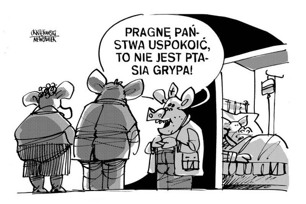 To nie ptasia grypa krzętowski