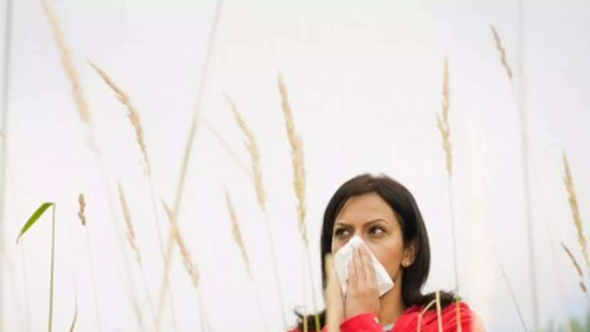 Homeopatia - jak działa na alergię?