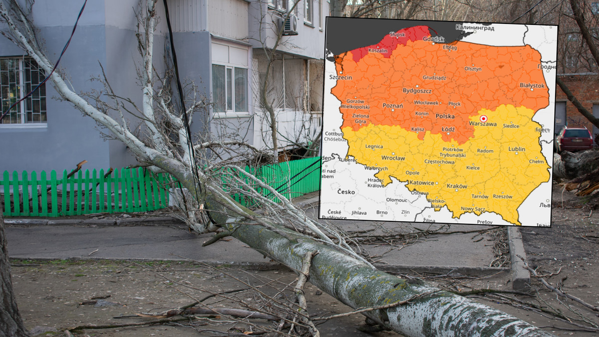 Czerwone alerty IMGW przed wichurą. Powieje nawet 125 km na godz.! [MAPA]