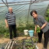 Dobrija i Vladan šest decenija u braku 