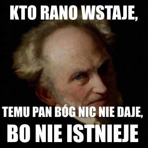 schopenhauer mem 8