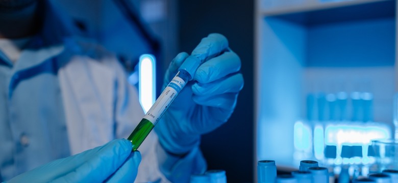 Naukowcy ostrzegają przed niebezpiecznym pajęczakiem. Wywołuje gorączkę Q