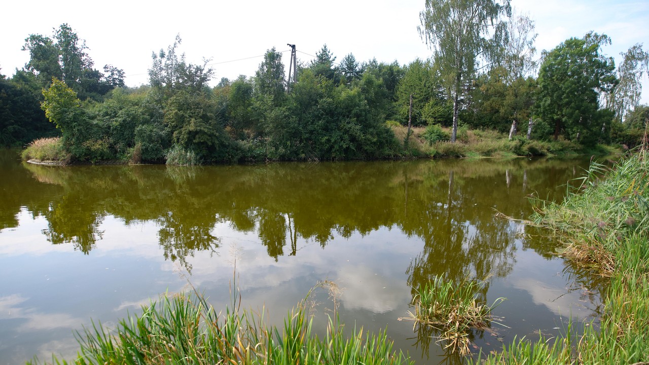 Pilny komunikat dla mieszkańców Śląska. Wojewoda wydał zakaz korzystania z rzeki